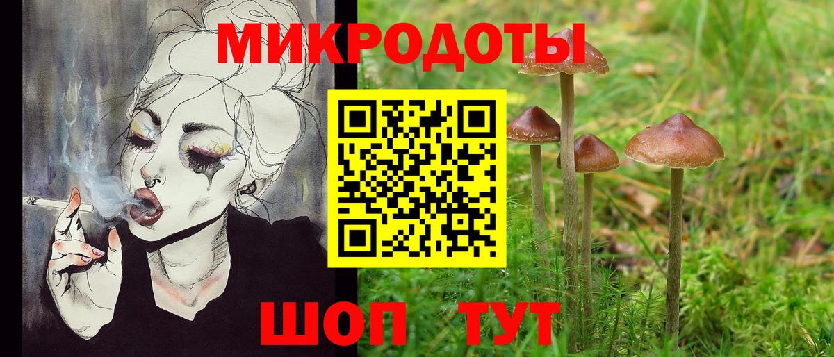 Галлюциногенные грибы Psilocybine cubensis  Псилоцибиновые грибы мицелий  Орск  Вход с VPN 